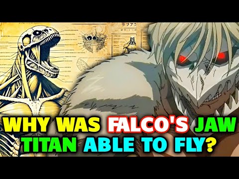 Jaw Titan Anatomy - Smallest & Fastest Titan of All! Can It Grow Wings?! - Explored