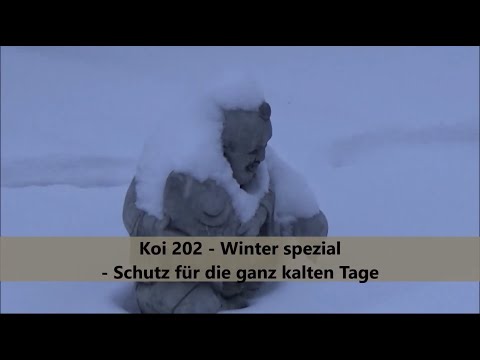 Koi 2021-1 -  Winter spezial - Schutz für die ganz kalten Tage (ohne Worte)