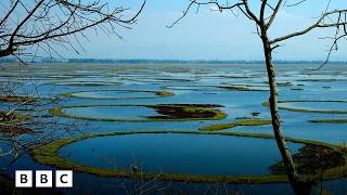 Inside the world's only floating national park | BBC Global