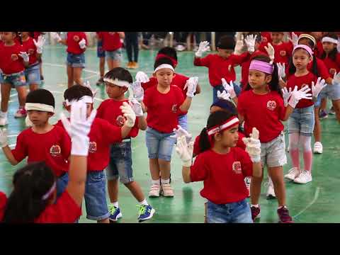 United International Private School