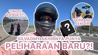 Download lagu FINALLY HAVE A NEW PET⁉️ mp3 Download lagu FINALLY HAVE A NEW PET⁉️ mp3
