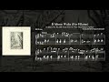 The Bill Evans Trio - Waltz In B Minor (Piano Transcription)