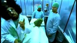 Cypress Hill - Dr. Greenthumb