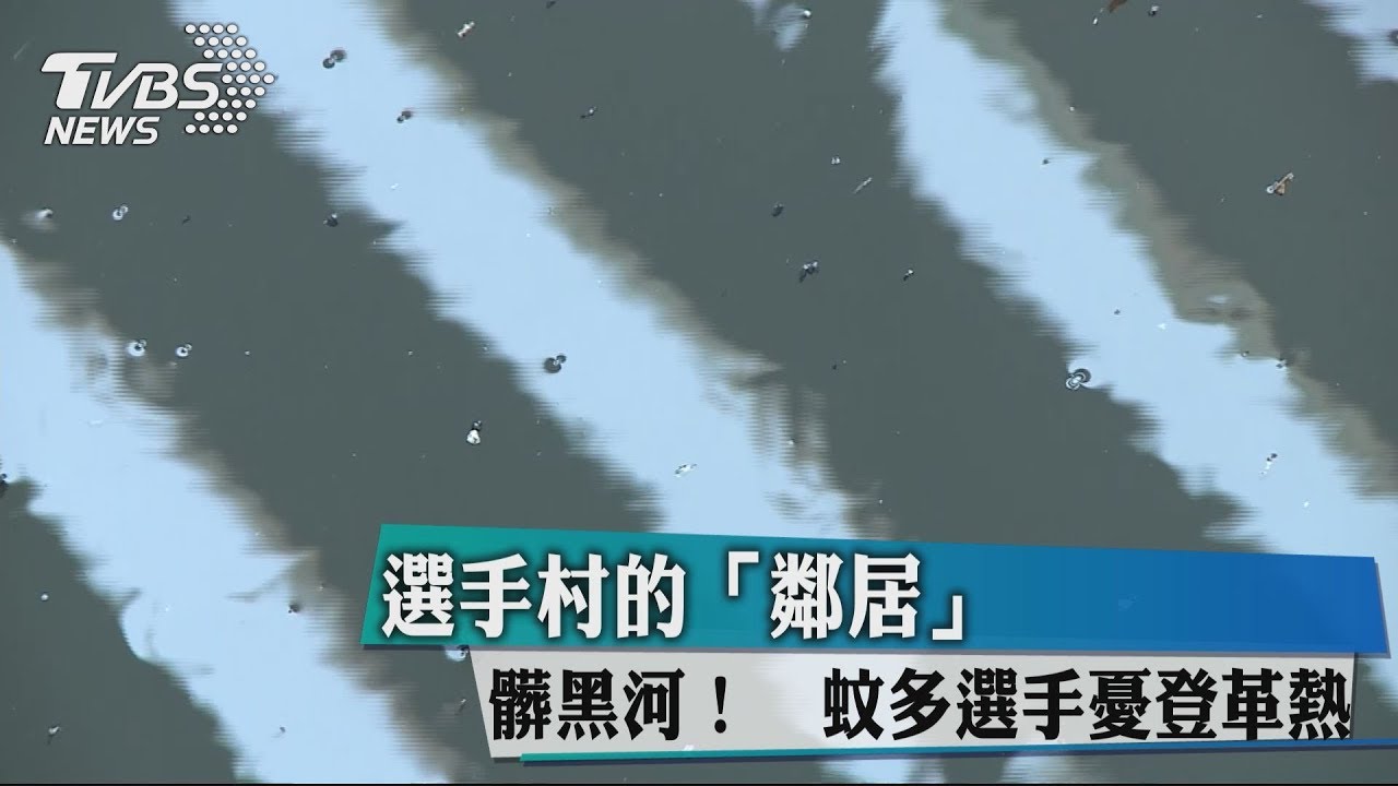選手村的「鄰居」...髒黑河! 蚊多選手憂登革熱