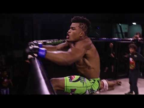 Wallison "Big Bull" Silva - Highlights