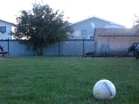 Backyard Soccer Playstation