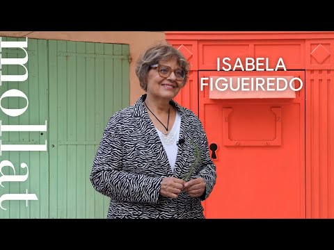 Isabela Figueiredo - Un chien au milieu du chemin