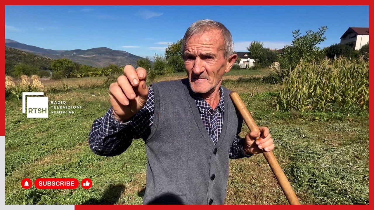 Punët e vjeshtës, blegtoria dhe bujqësia, baza ekonomike e fshatit