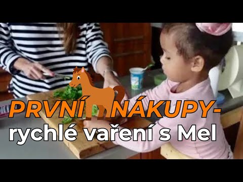 PRVNÍ VÝBAVA A NÁKUPY NA 🐴🐴 , RYCHLÉ VAŘENÍ S MEL