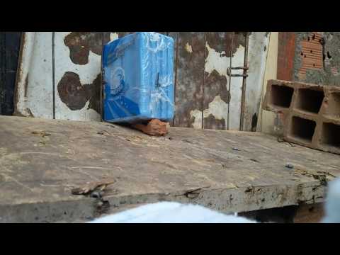 CARABINA SAG R1000 5.5 VS DUAS BARRAS DE SABÃO A 10 METROS