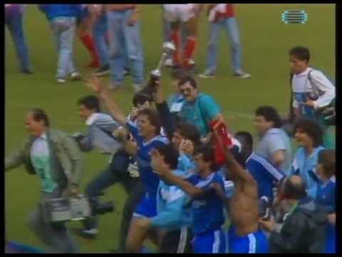 Final da Taça de Portugal de 1989