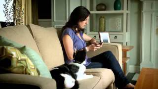 The Shelter Pet Project: Cell Phone (ESTADOS UNIDOS) (3-4)