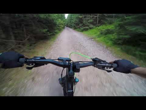 St. Muntele Baisorii - Valea Vadului. Partea I