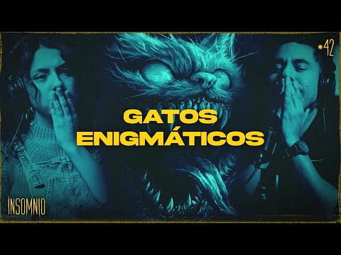 GATOS ENIGMÁTICOS - INVITADA: Mar  #42