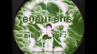 Rudi Smultem   Burnt Bits (A1 Bit 1)