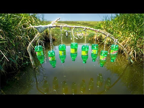 Homemade FISH TRAP in TINY Creek!!! (It Actually Worked!) - Primitive Technology