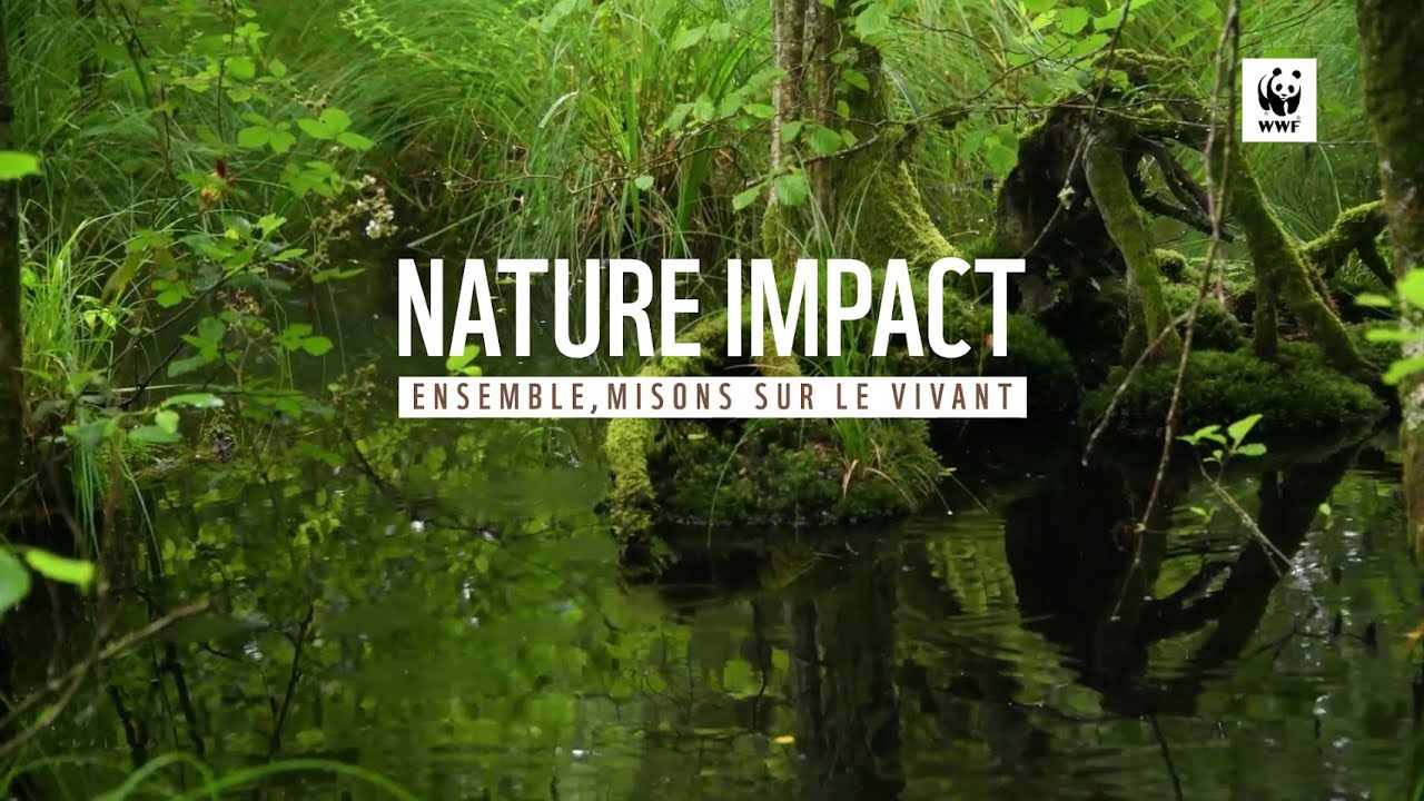 NATURE IMPACT