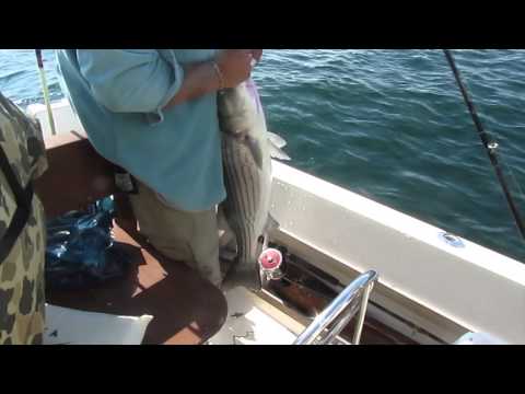 Teaching a Man to Fish