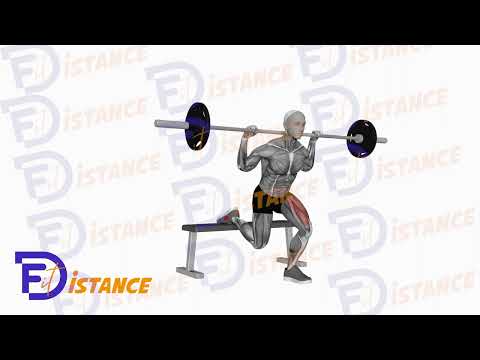 Squat unilatéral pied arrière en élévation (style bulgare) - Exercice Squat unilatéral pied arrière en élévation (style bulgare) en vidéo Squat unilatéral pied arrière en élévation (style bulgare) - Exercice Squat unilatéral pied arrière en élévation (style bulgare) en vidéo