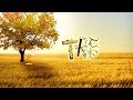 Tree Logo Spoof Luxo Lamp