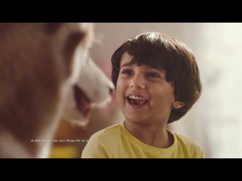 Kellogg’s Chocos Boy & Dog X 30 sec Bengali