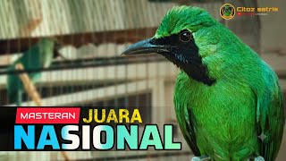 Download lagu 🔴MASTERAN CUCAK IJO JUARA NASIONAL‼️FULL ISIAN DAN TEMBAKAN TAJAM mp3