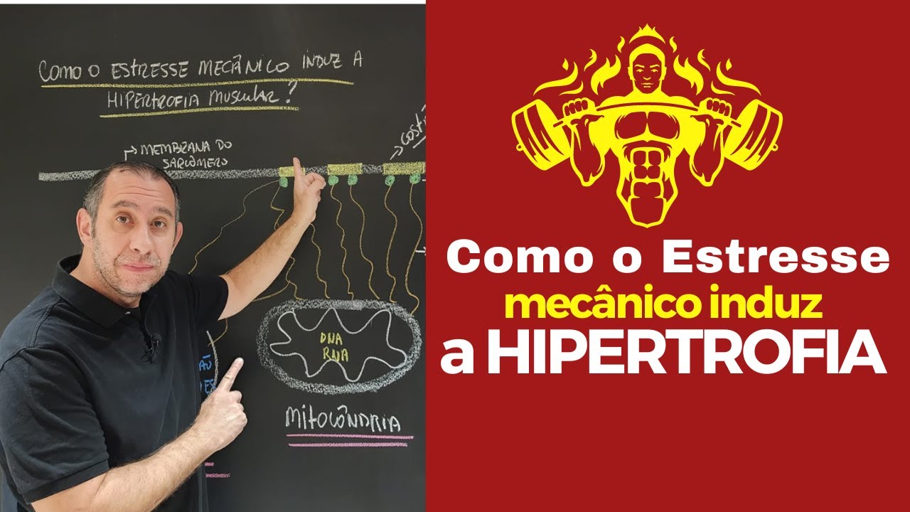 Como o Estresse Mecânico Induz a Hipertrofia Muscular: Descubra os Segredos!