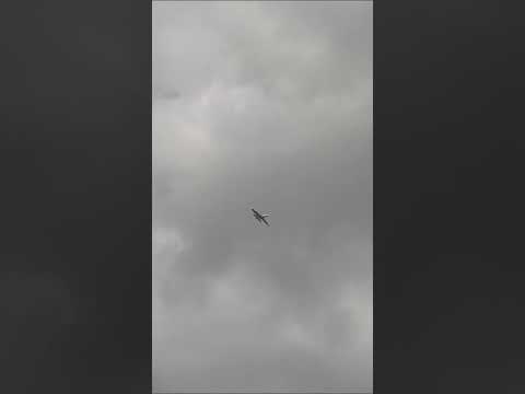 Crazy spin! Krill Ares #turbine #rcpilot #rcaircraft