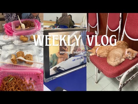 weekly college vlog ; normal week filled with cats 🐈