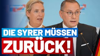 Presseerklärung von Alice Weidel & Tino Chrupalla - AfD-Fraktion im Bundestag