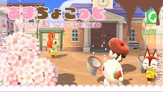 【あつ森】あまちょこっ島でまったり過ごす日！🍫サーティワンの島にも行きたい🍦＃３０