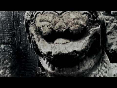 Gunther's Grass - Angkor