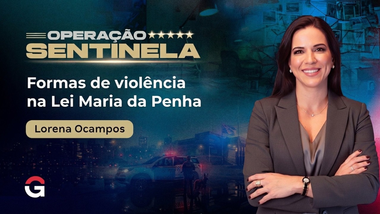 Formas de violência na Lei Maria da Penha