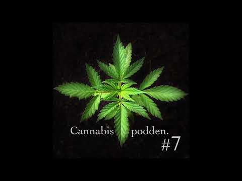 Allyawan: "Folk skjuter varandra för såna här saker"