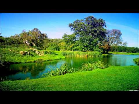 ☊ Vinylgroover & The Red Hed -Don't Hold Back (Vinylgroover&The Red Hed Remix) [Riot! Recordings]