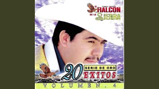 Caballo De Patas Blancas