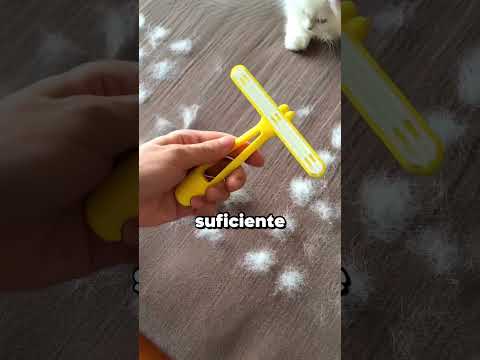 Así se limpia el pelo de gato