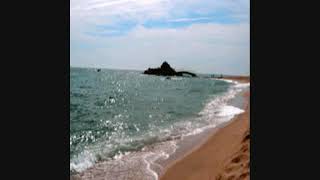 GERRY RAFFERTY- &quot;COCONUT TREE&quot; (VINYL UPLOAD + LYRICS)