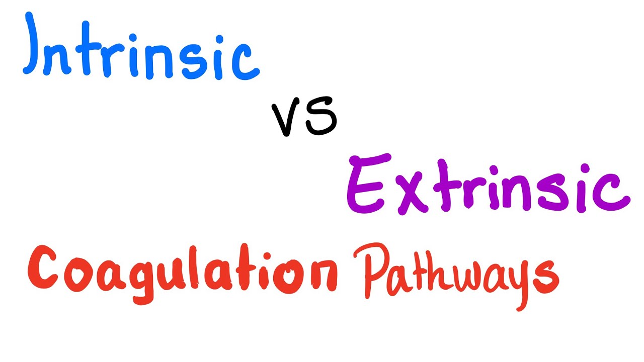Intrinsic vs. Extrinsic Coagulation pathways - Hemostasis - Bleeding and Coagulation