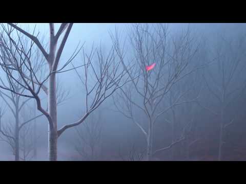 At Home With Varian - Leaves {PG-13}