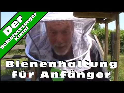 Beekeeping for beginners. The first hive has been built