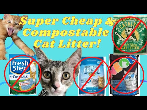 The BEST Cat Litter! 😻A CHEAP & Safe Option You Haven't Heard of!