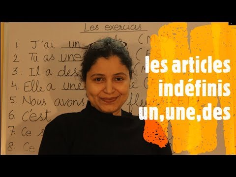 les articles indéfinis un, une, des