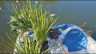 Landscaping around the lake