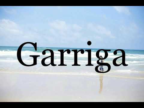 How To Pronounce Garriga🌈🌈🌈🌈🌈🌈Pronunciation Of Garriga