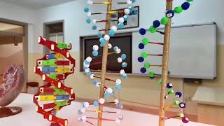 Kahramanmaraş TOBB Fen Lisesi Tanıtım Filmi