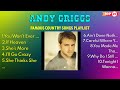 Your 2025 Country Music Guide Songs By Andy Griggs