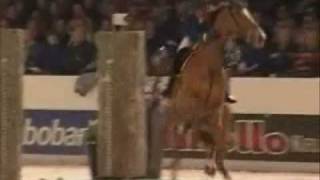 Horses-Falls and Mistakes-Don't Ask