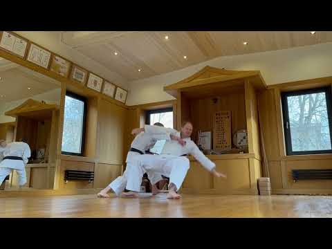 Combat application of Okinawan karate techniques | Unique Technics of Traditional Karate | Goju-Ryu