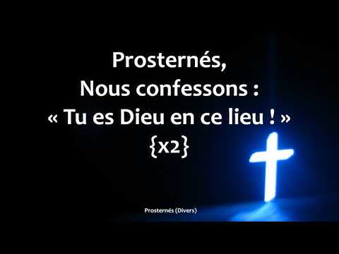 Prosternés Sylvain Freymond